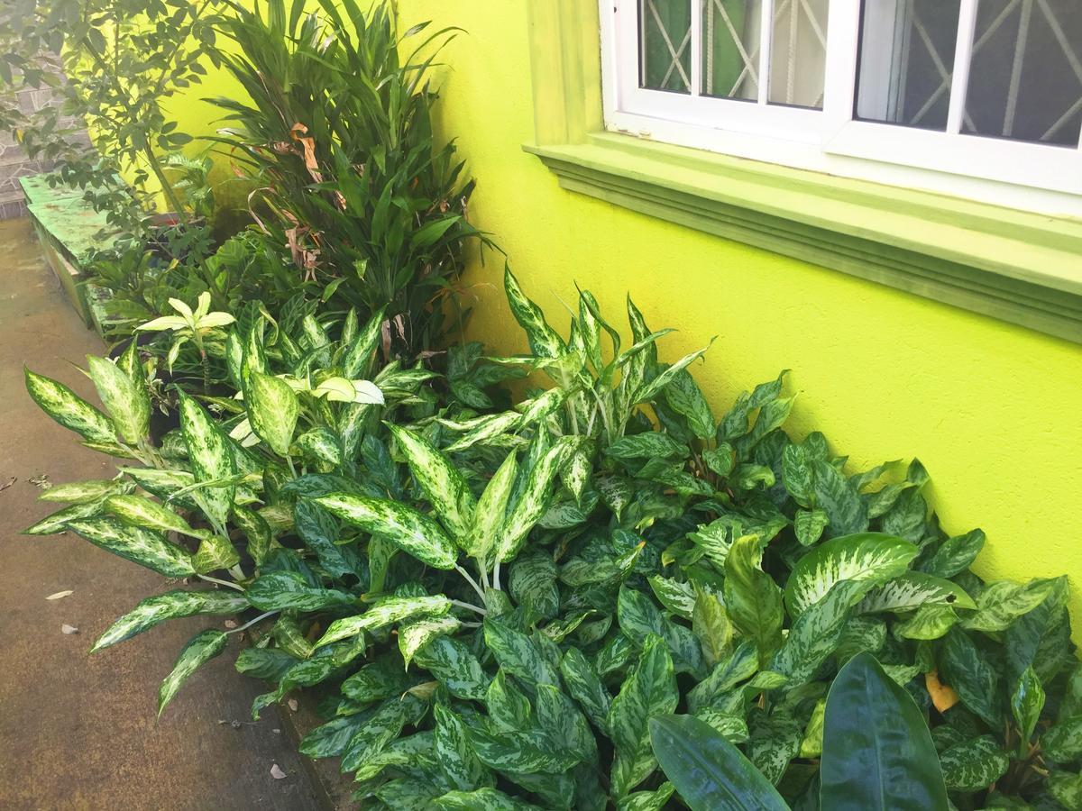 Yaad Hostel Montego Bay Exterior foto